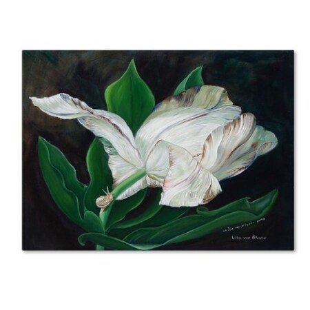 Trademark Fine Art Lily van Bienen 'Gletcher Tulip' Canvas Art, 18x24 ALI5674-C1824GG